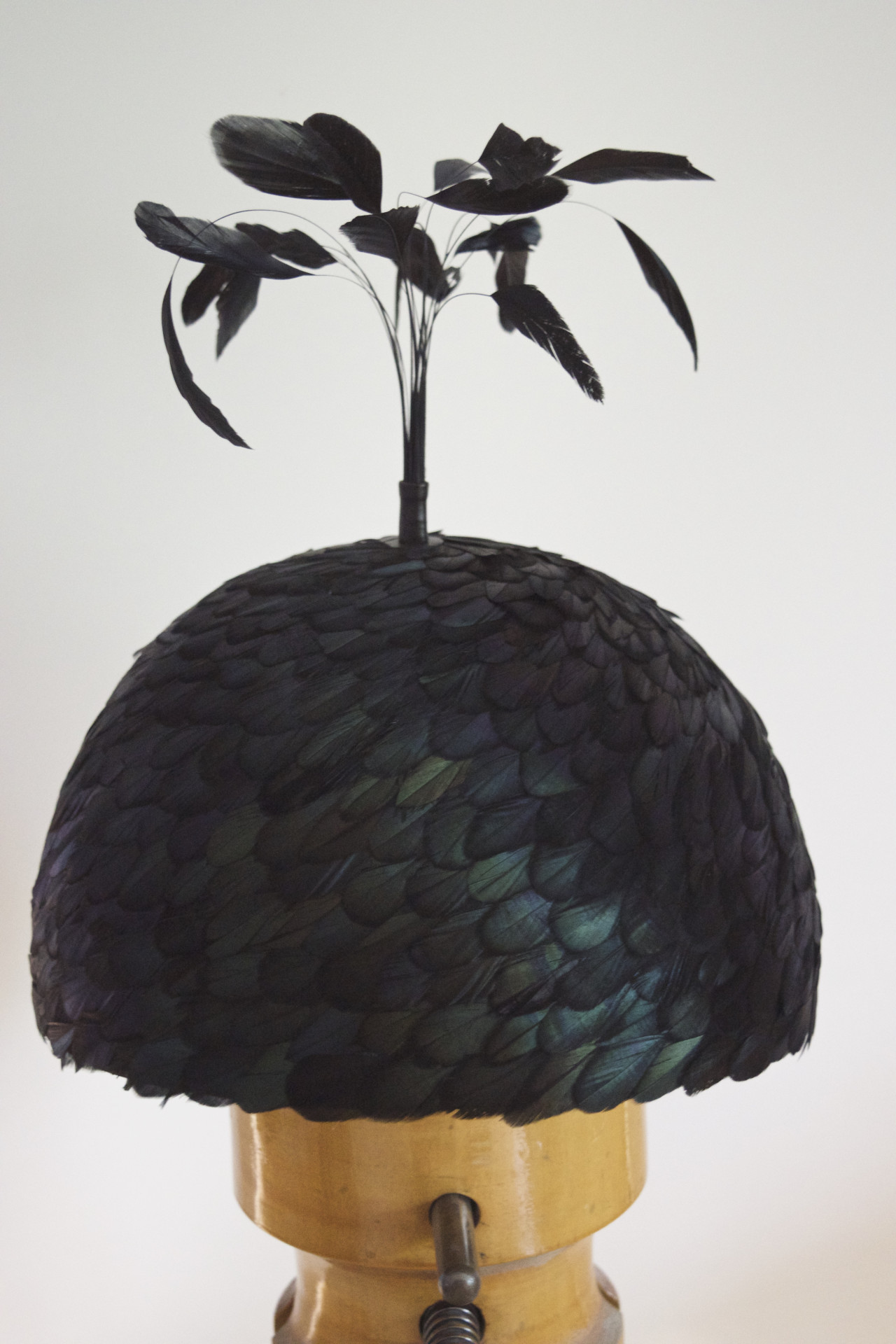 Daphne van der Grinten Metamorphosen