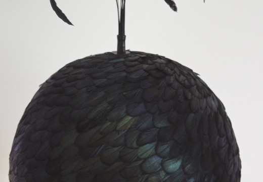 Daphne van der Grinten Metamorphosen