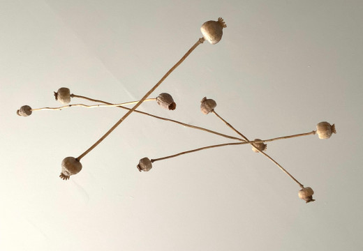Maja Majer-Wallat  As ignorable as it is interesting
